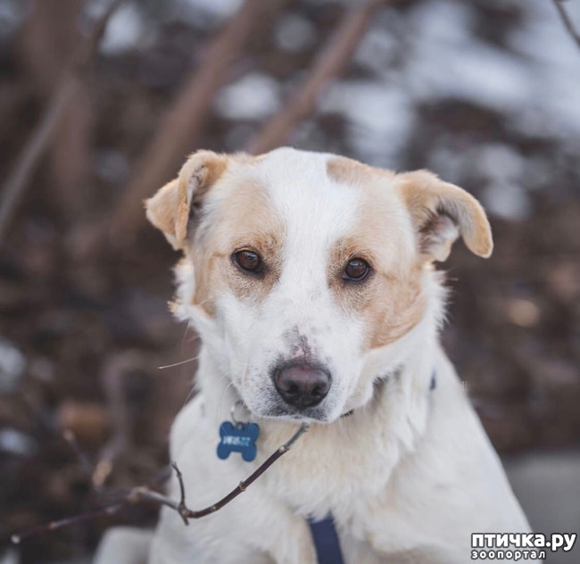 ���� 6: ����� � ��������� ������� ���� ���. ������-������� (���������) � ������ ����.