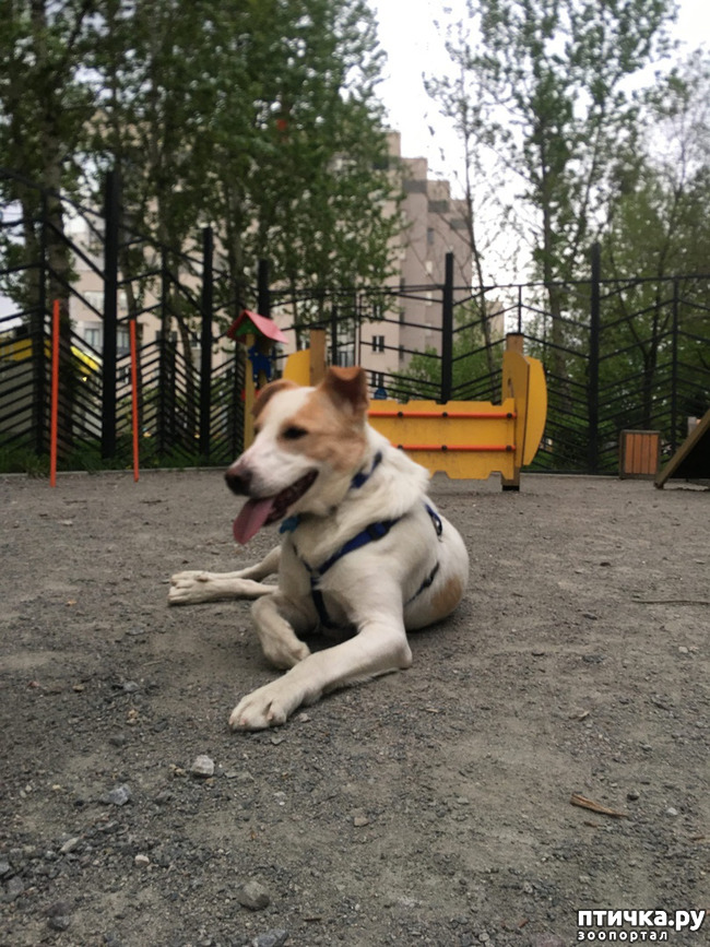 ���� 5: ����� � ��������� ������� ���� ���. ������-������� (���������) � ������ ����.