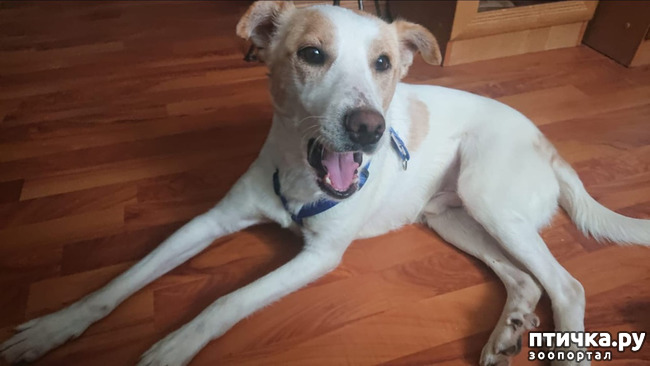 ���� 8: ����� � ��������� ������� ���� ���. ������-������� (���������) � ������ ����.