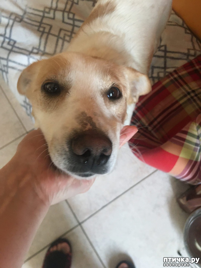 ���� 7: ����� � ��������� ������� ���� ���. ������-������� (���������) � ������ ����.