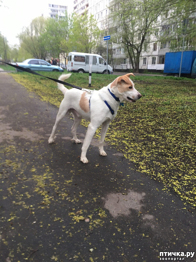 ���� 9: ����� � ��������� ������� ���� ���. ������-������� (���������) � ������ ����.