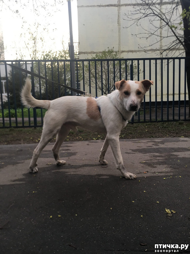 ���� 10: ����� � ��������� ������� ���� ���. ������-������� (���������) � ������ ����.