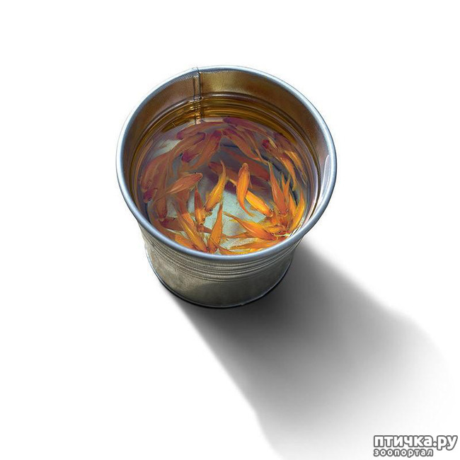 ���� 2: ����������������� �������� �� ������ � �����