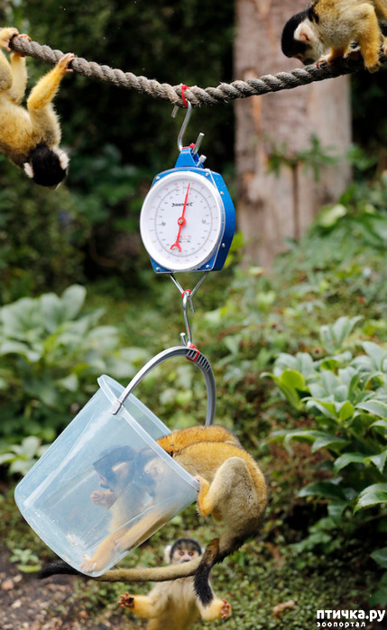 ���� 7: ��� �������� ������?