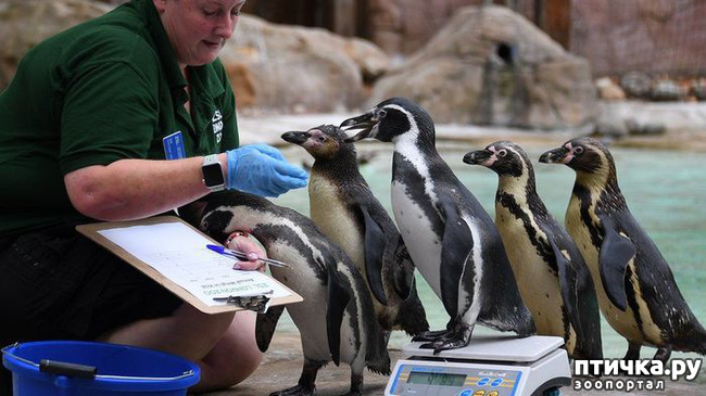 ���� 9: ��� �������� ������?