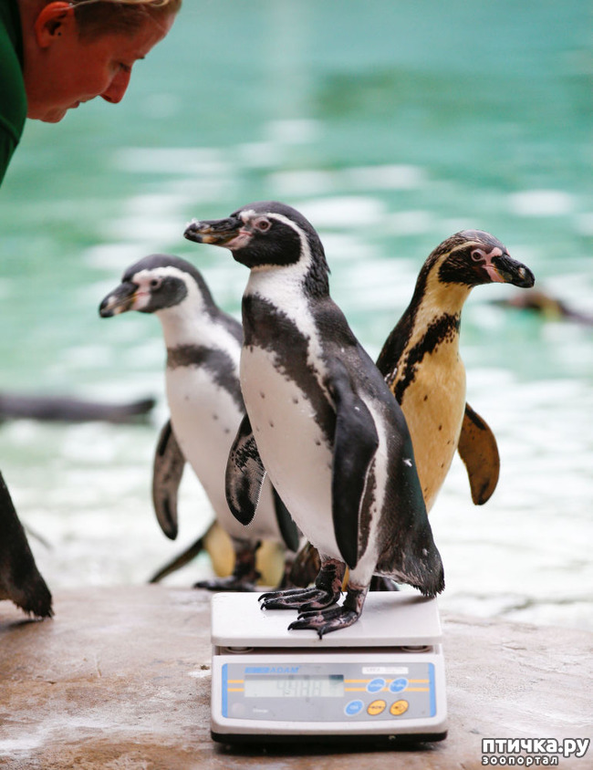 ���� 10: ��� �������� ������?