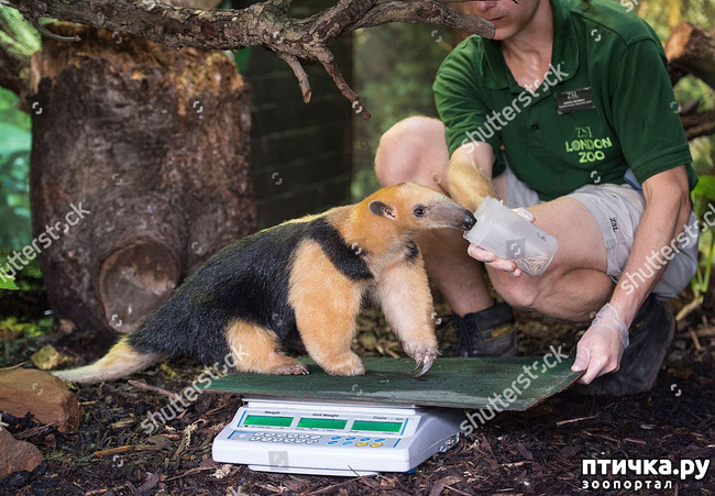 ���� 11: ��� �������� ������?