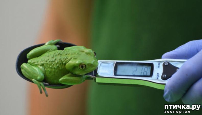 ���� 13: ��� �������� ������?