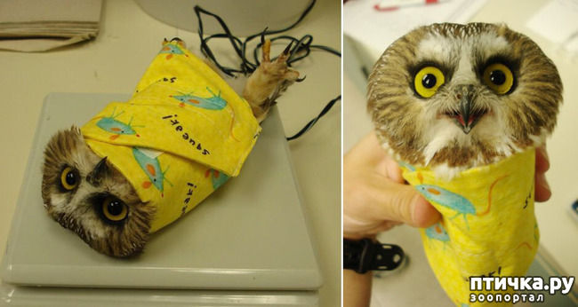 ���� 14: ��� �������� ������?