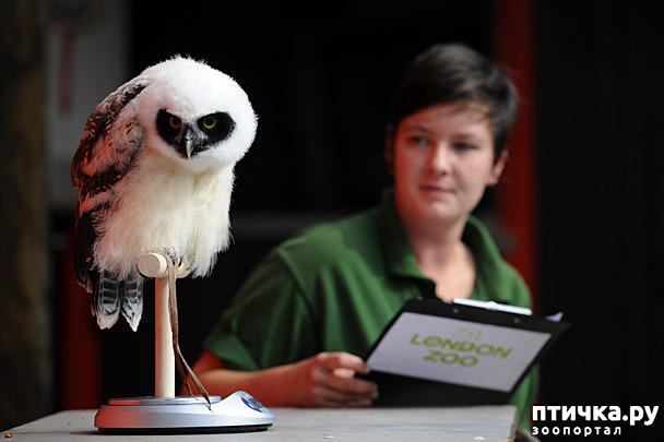 ���� 15: ��� �������� ������?