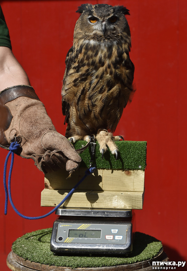 ���� 16: ��� �������� ������?