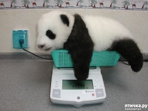 ���� 18: ��� �������� ������?