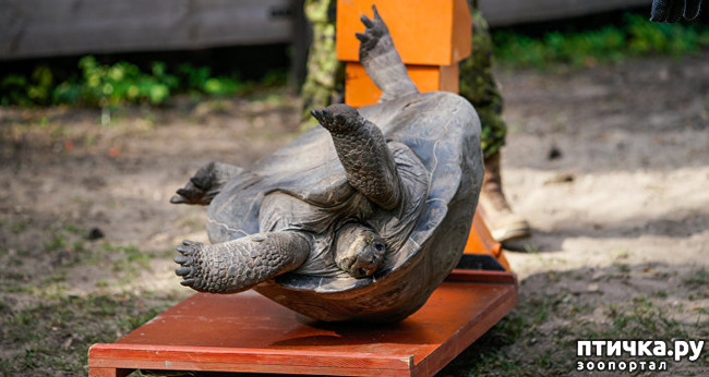 ���� 19: ��� �������� ������?