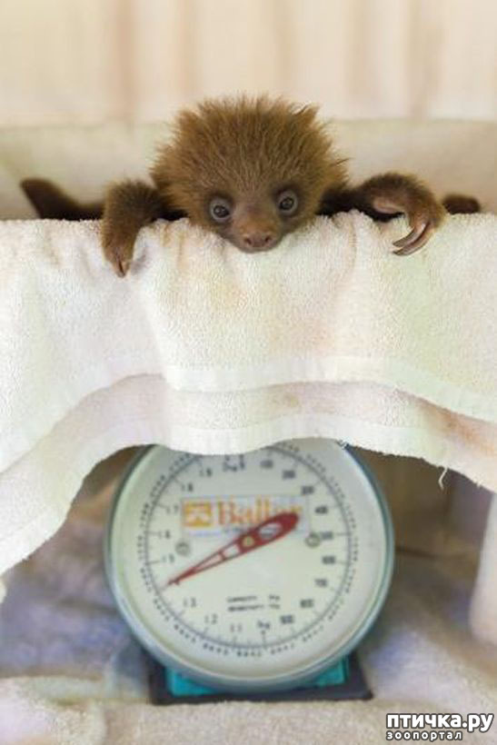 ���� 20: ��� �������� ������?