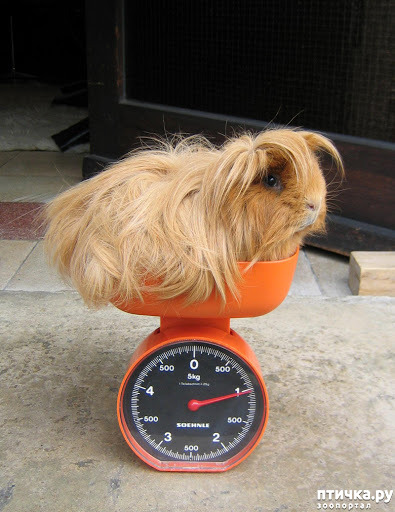 ���� 22: ��� �������� ������?