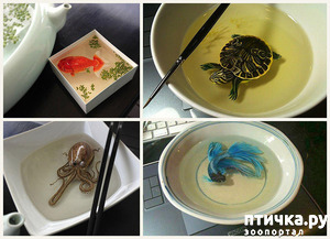 ����: ����������������� �������� �� ������ � �����