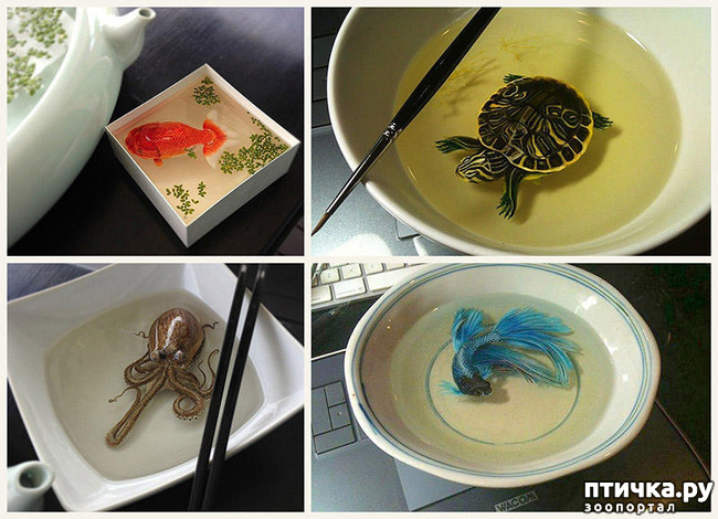 ���� 1: ����������������� �������� �� ������ � �����