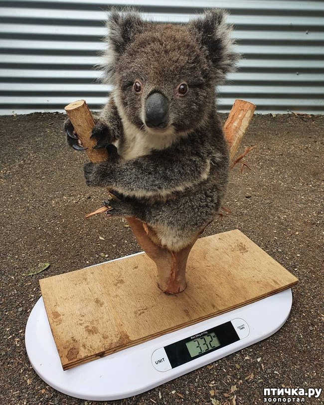 ���� 5: ��� �������� ������?