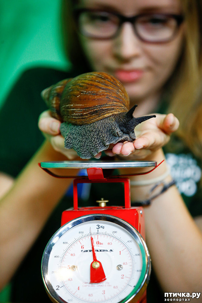 ���� 4: ��� �������� ������?