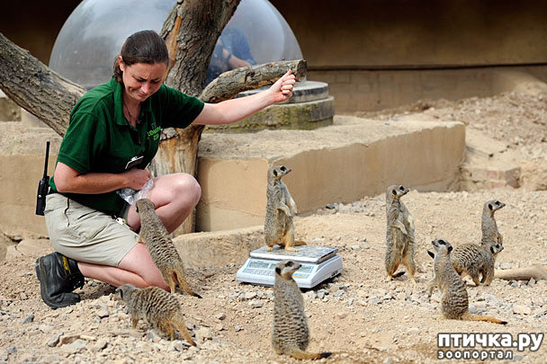 ���� 3: ��� �������� ������?