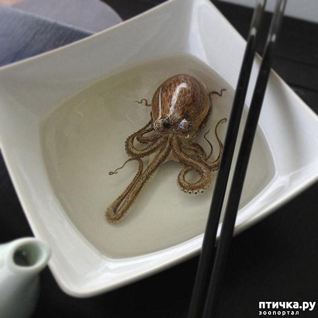 ���� 3: ����������������� �������� �� ������ � �����