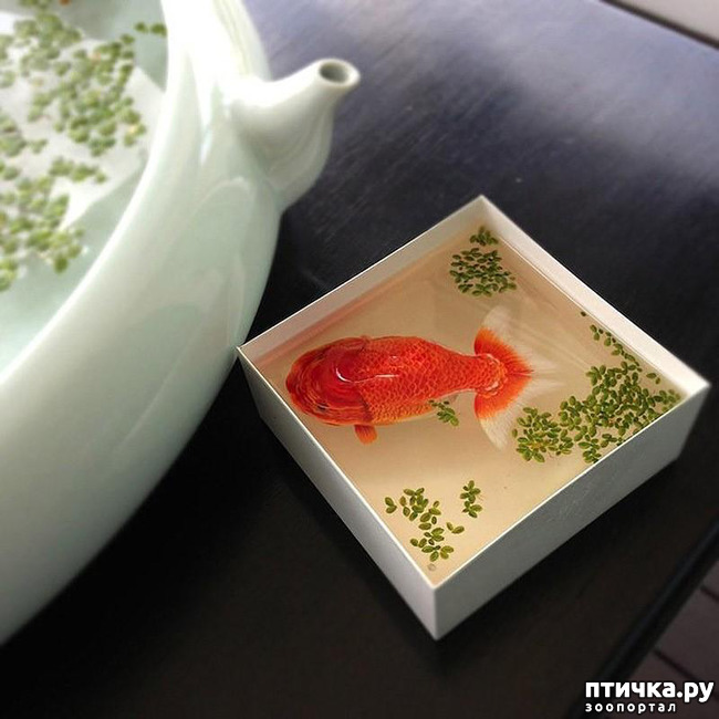 ���� 4: ����������������� �������� �� ������ � �����