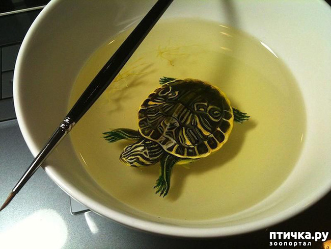 ���� 5: ����������������� �������� �� ������ � �����