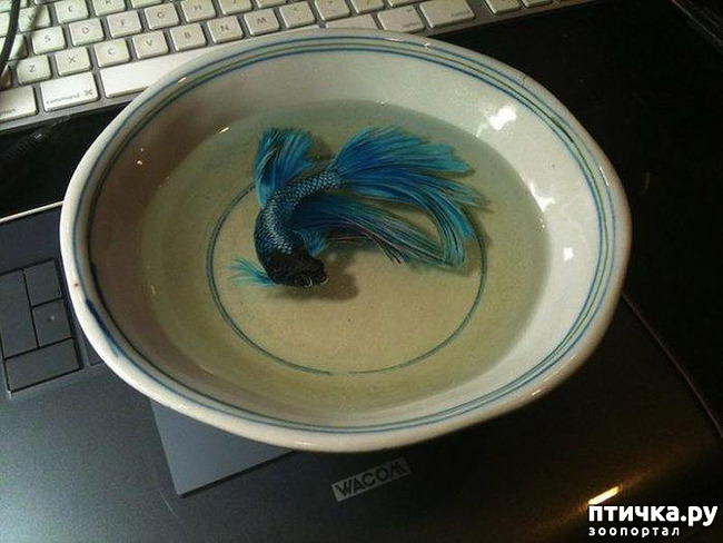 ���� 6: ����������������� �������� �� ������ � �����