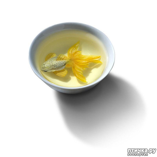 ���� 8: ����������������� �������� �� ������ � �����