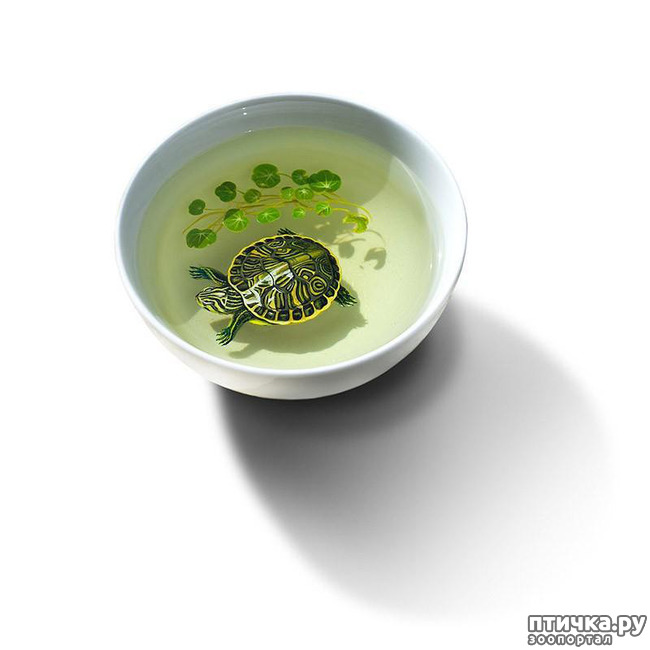 ���� 7: ����������������� �������� �� ������ � �����