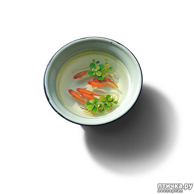 ���� 9: ����������������� �������� �� ������ � �����