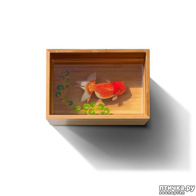 ���� 11: ����������������� �������� �� ������ � �����