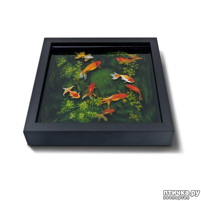 ���� 12: ����������������� �������� �� ������ � �����