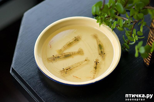 ���� 14: ����������������� �������� �� ������ � �����