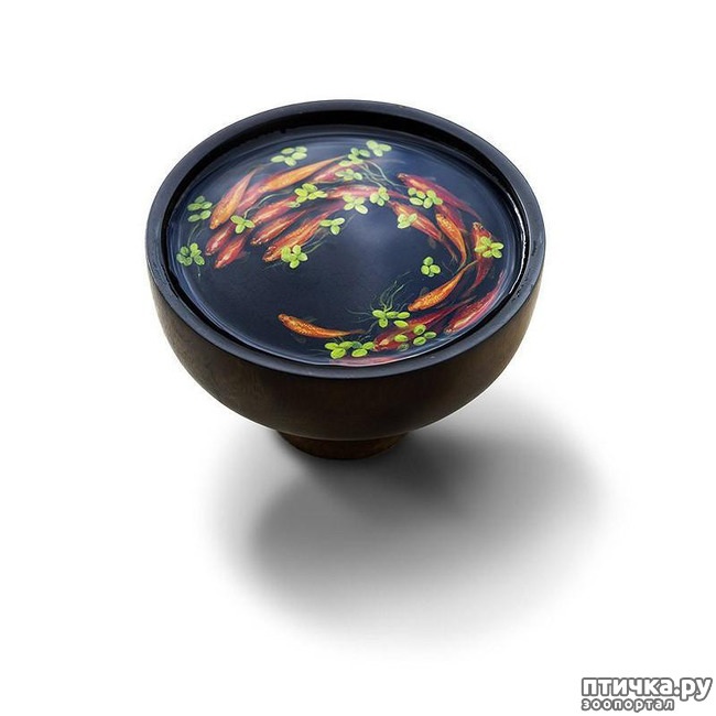 ���� 13: ����������������� �������� �� ������ � �����