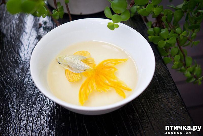 ���� 15: ����������������� �������� �� ������ � �����