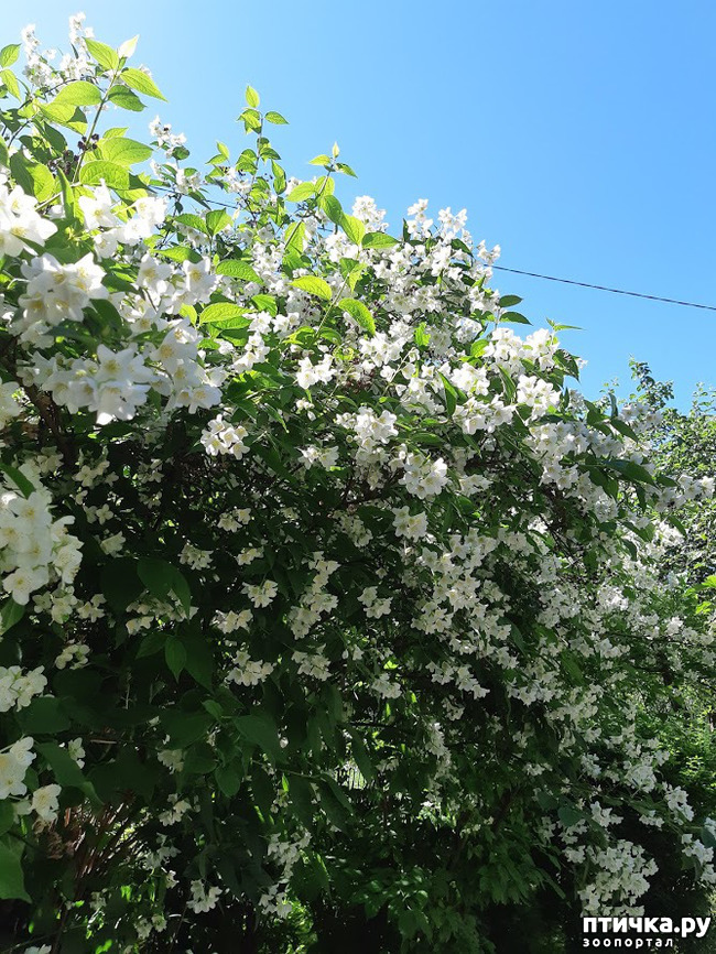 ���� 1: ��� �������, �� �������