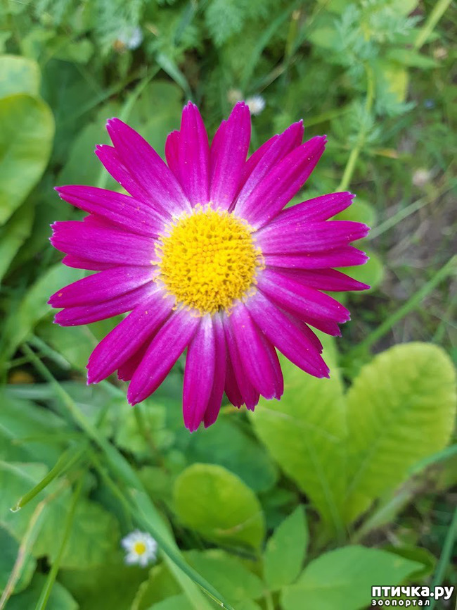 ���� 2: ��� �������, �� �������