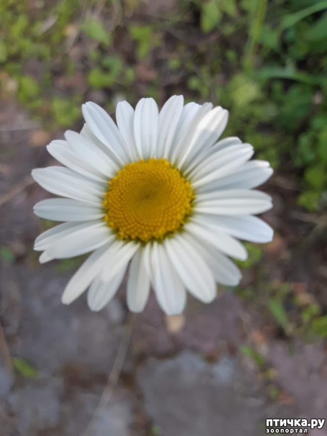 ���� 3: ��� �������, �� �������