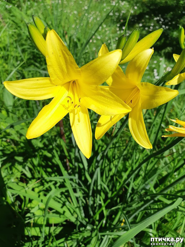 ���� 5: ��� �������, �� �������