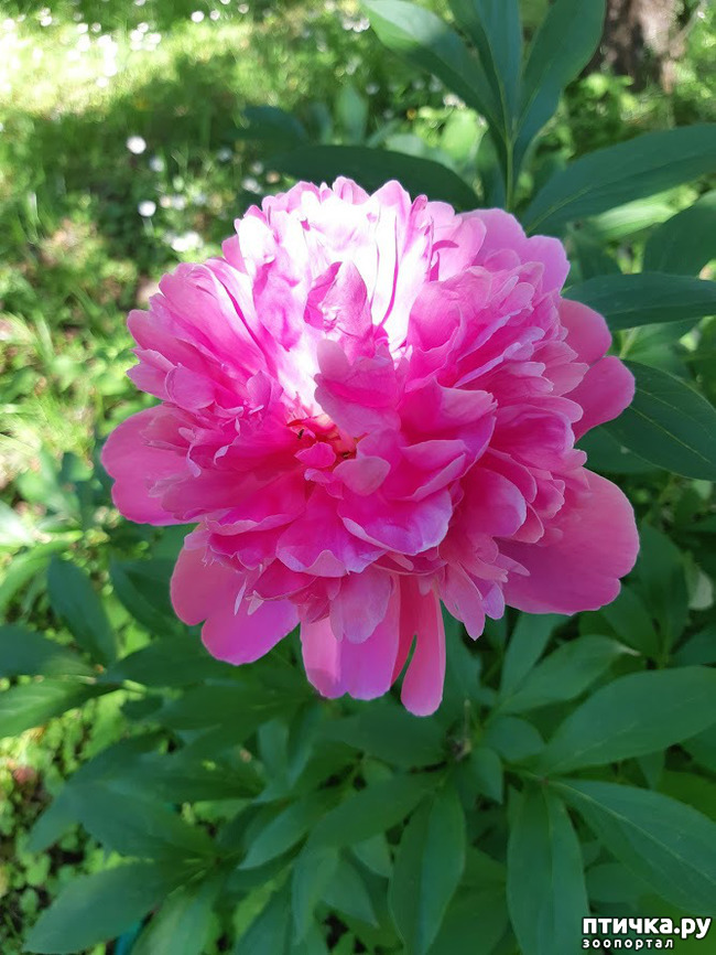 ���� 6: ��� �������, �� �������