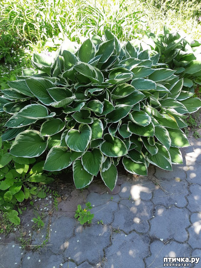 ���� 7: ��� �������, �� �������