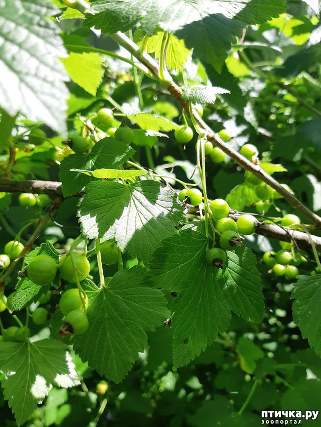 ���� 8: ��� �������, �� �������