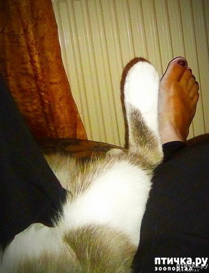 ����: ��������