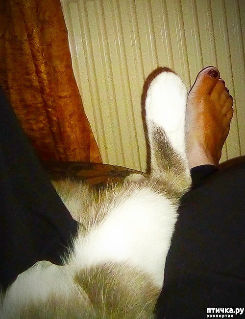 ���� 1: ��������