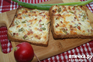 ����: ����� "����������"