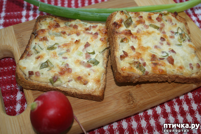 ���� 1: ����� 