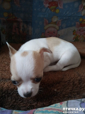 ����: � �������� ����������..