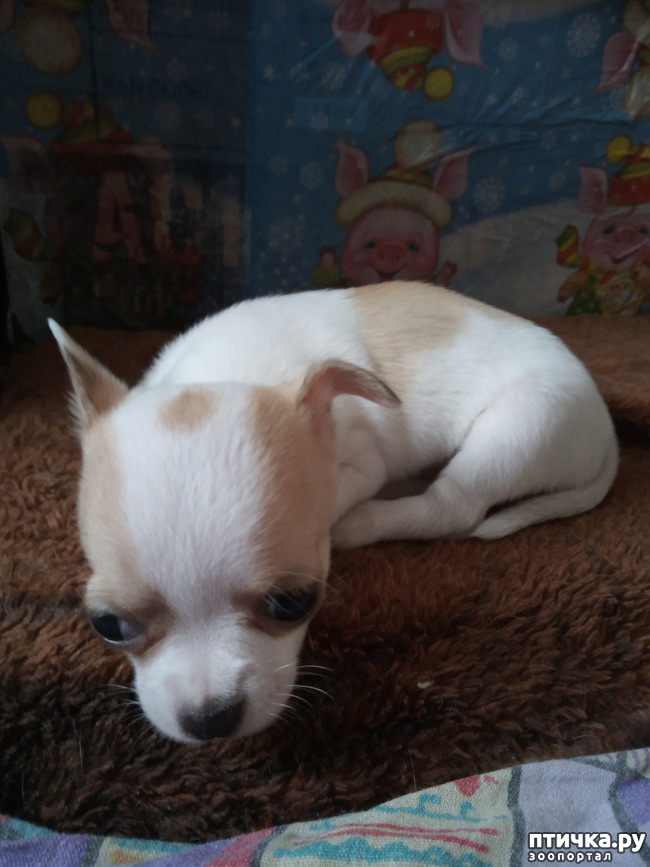 ���� 1: � �������� ����������..