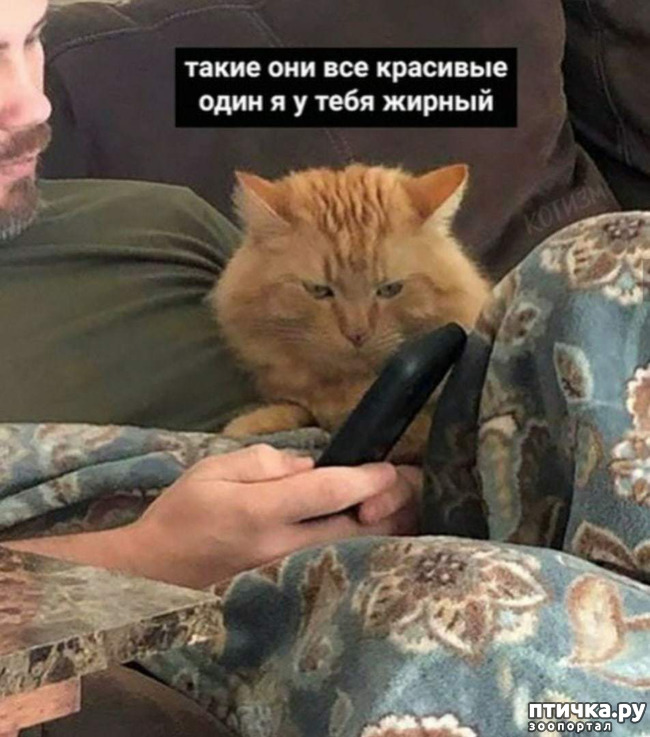 ���� 2: ��� ��� ������ ������